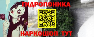 не бодяженный Гатчина