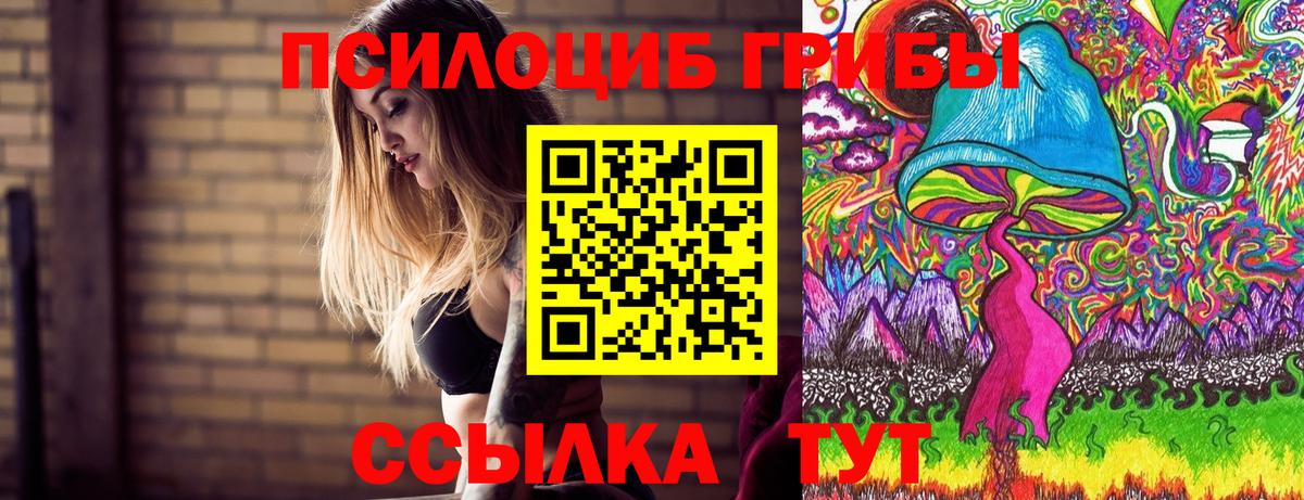 Галлюциногенные грибы Psilocybe Сергиев Посад